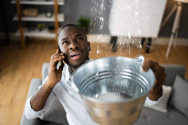 Best 24/7 water damage repair  in New Glarus, WI