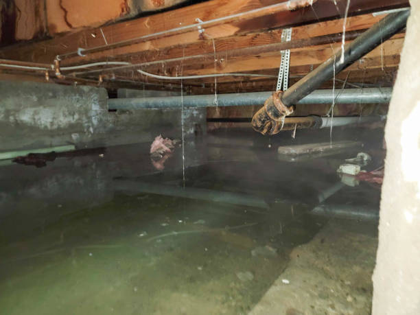 Carpet water damage restoration in New Glarus, WI