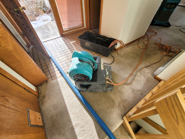 Best Basement water damage restoration  in New Glarus, WI