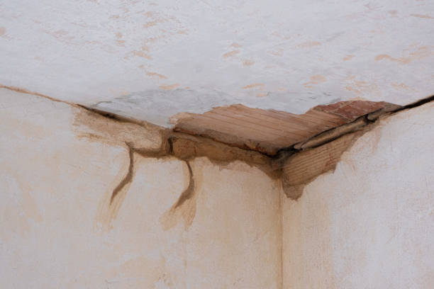 Best Professional water damage repair  in New Glarus, WI