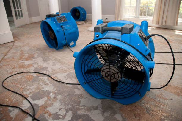 Best Emergency water damage restoration  in New Glarus, WI