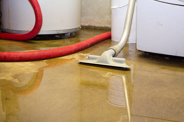 Best 24-hour water damage restoration  in New Glarus, WI
