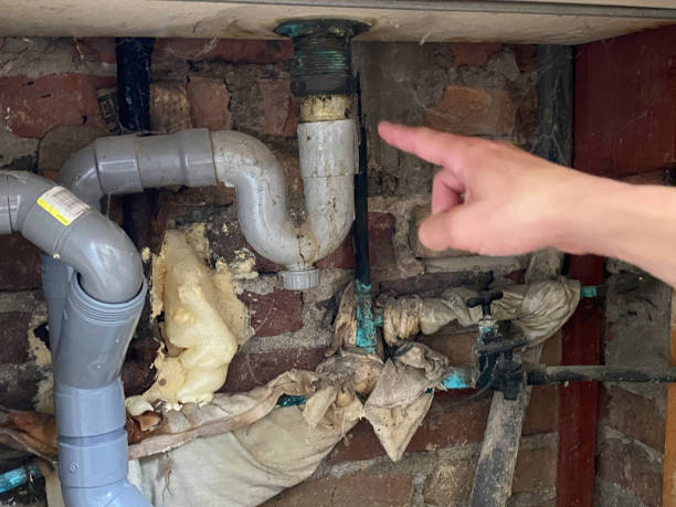 Best Fire Damage Restoration  in New Glarus, WI