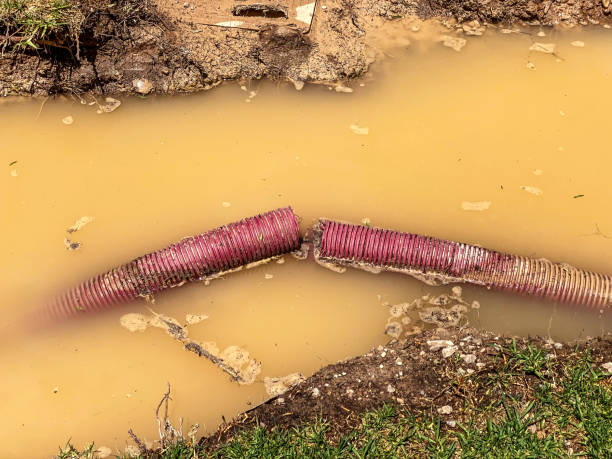  New Glarus, WI Water damage restoration Pros